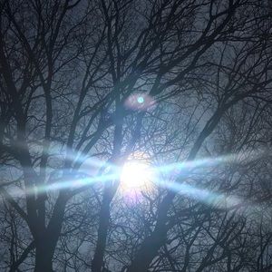 Pocket full of sunshine!